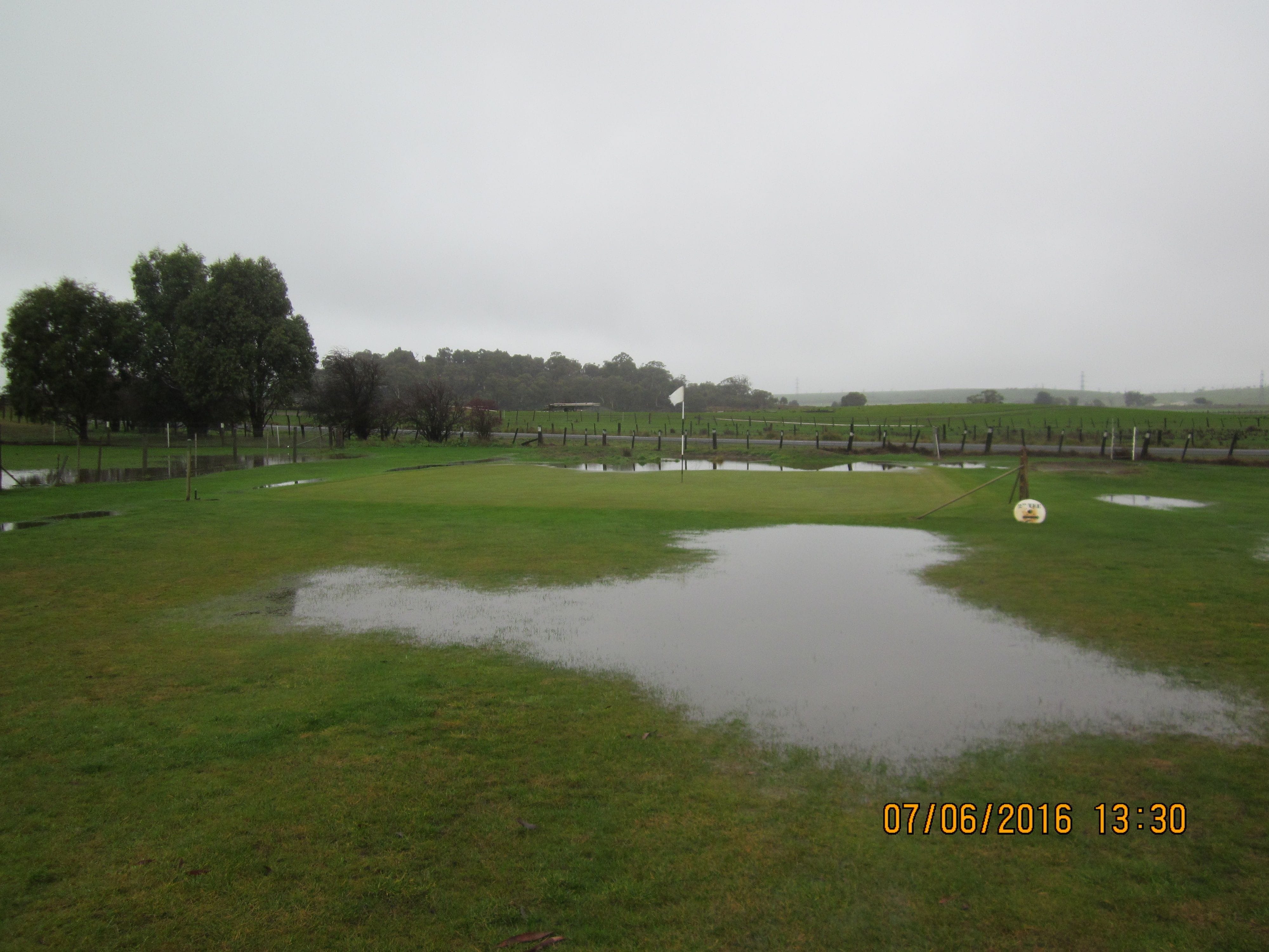 The1stGreen